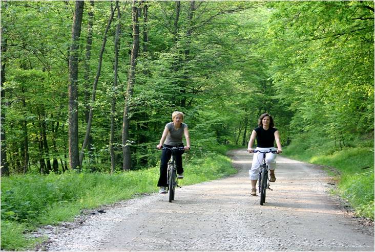 pomurska by bike.jpg